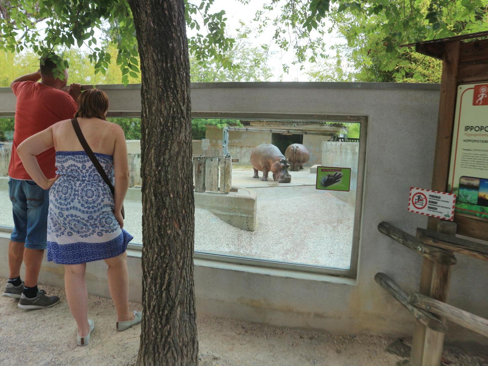Casa Marina Apartman Lignano Sabbiadoro Kültér fotó